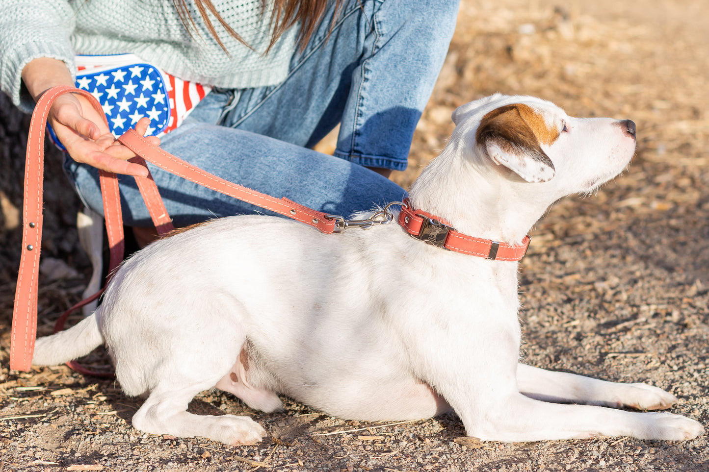 Leather Collar & Leash Set — Quick Release