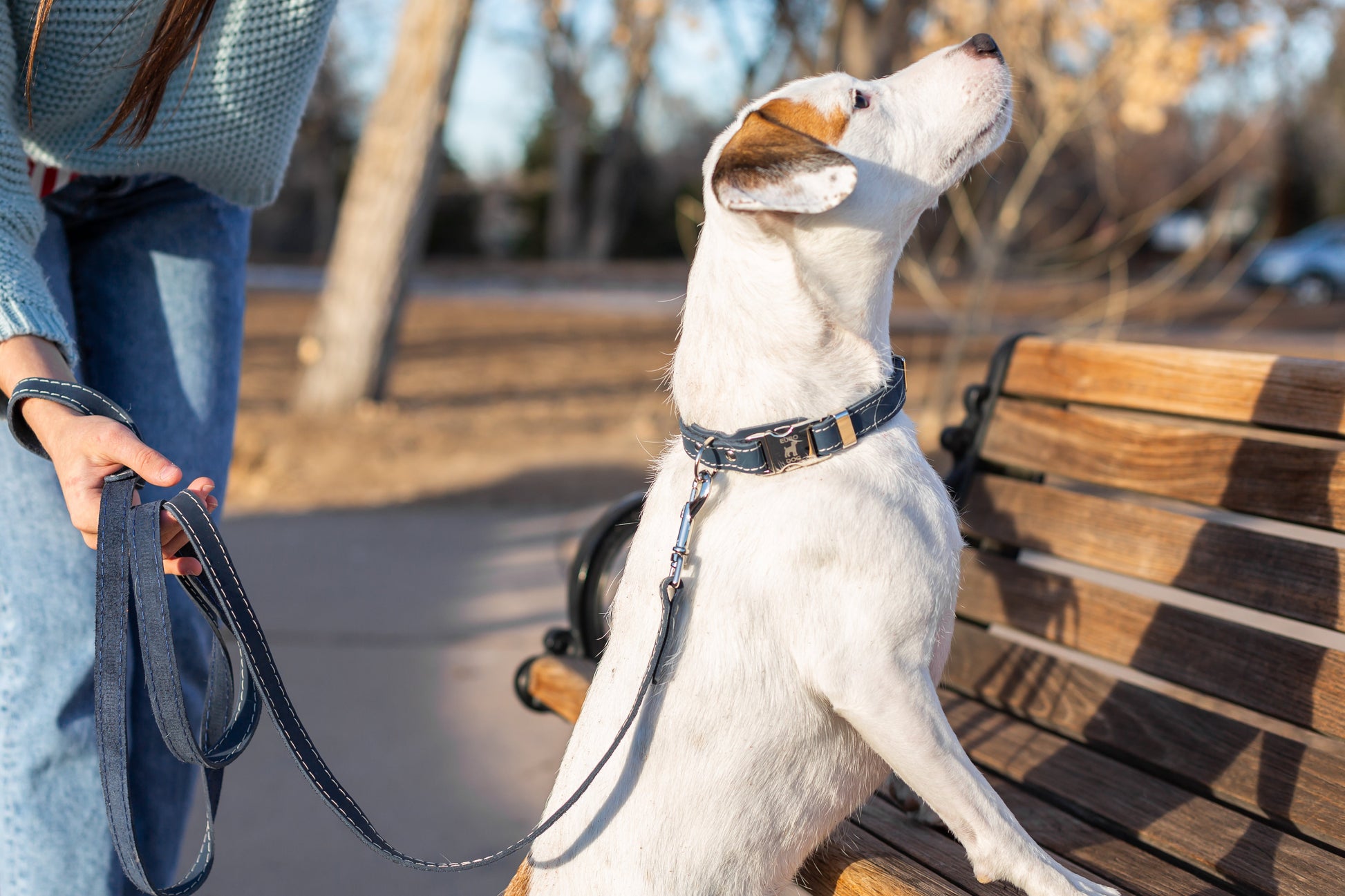 Traditional Blue Jeans Leather Leash