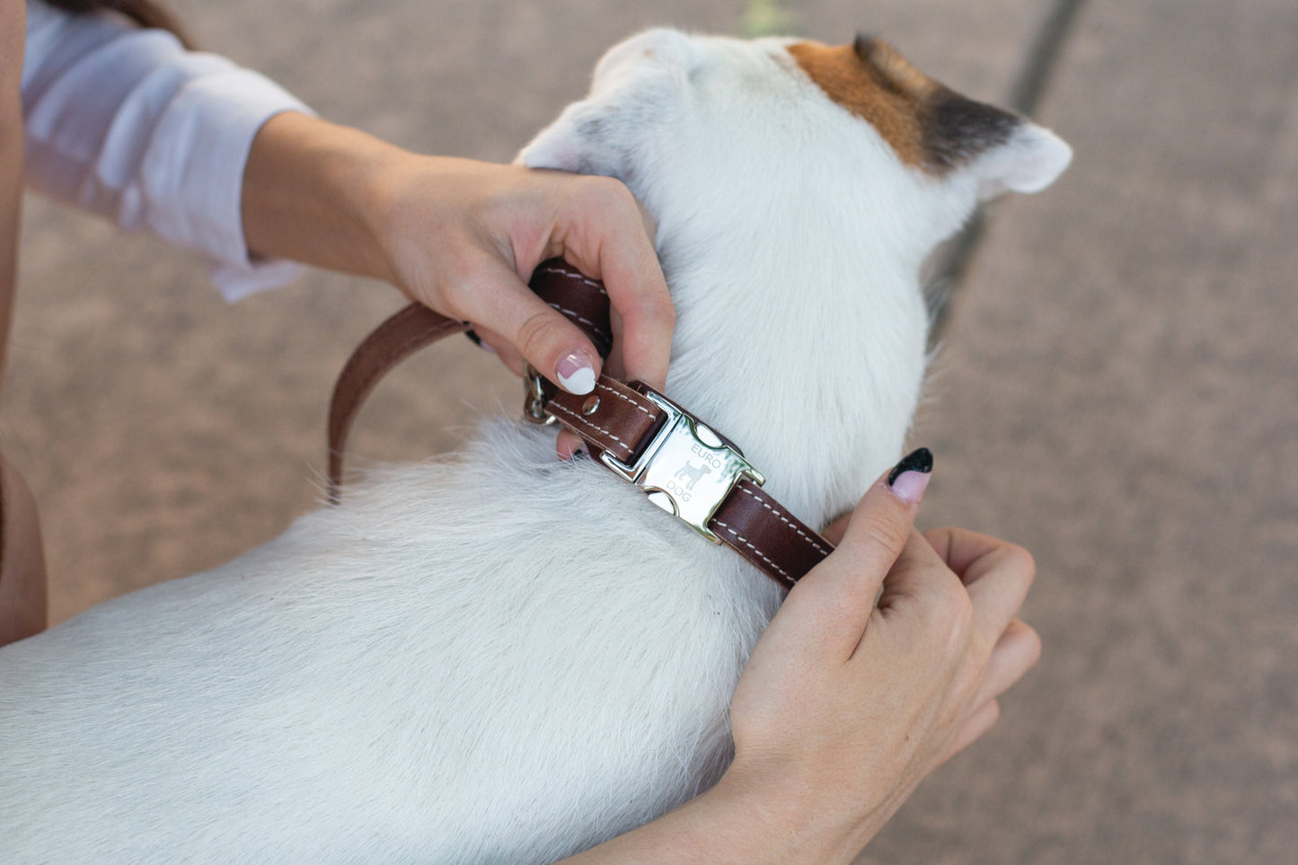 Chocolate Leather Dog Collar — Bestseller