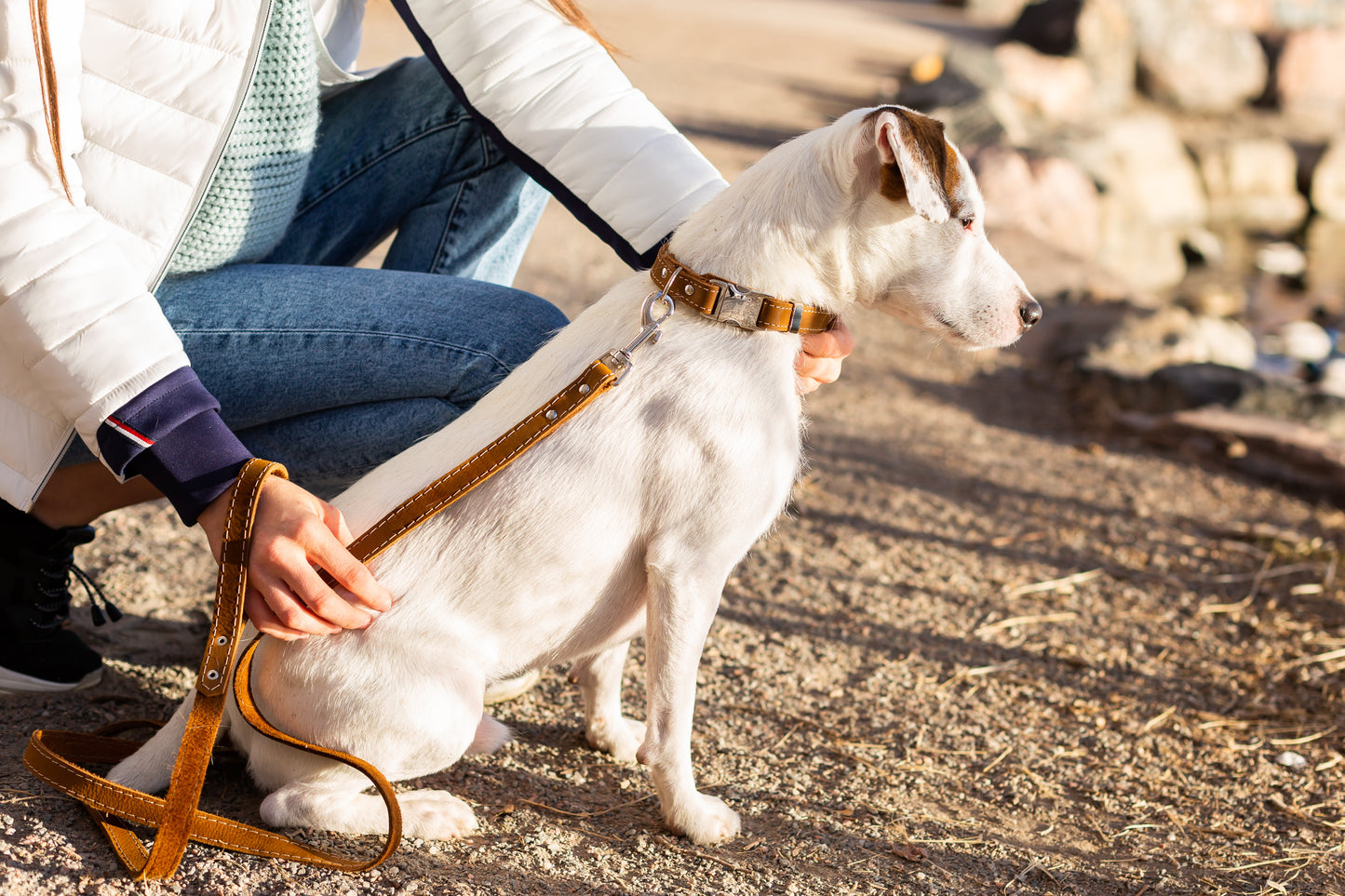 Traditional Earth Brown Leather Dog Leash on dog — dog leash close-up | Cutie Paw Co.