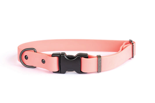 Coral Reef Waterproof PVC Dog Collar | Cutie Paw Co.