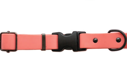 Coral Reef Waterproof PVC Dog Collar