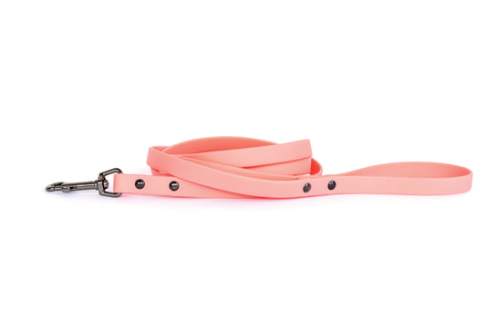 Coral Reef Waterproof PVC Dog Leash