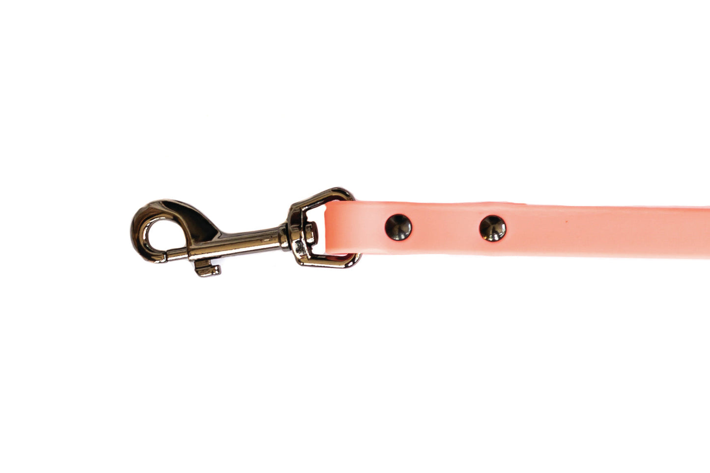 Coral Reef Waterproof PVC Dog Leash