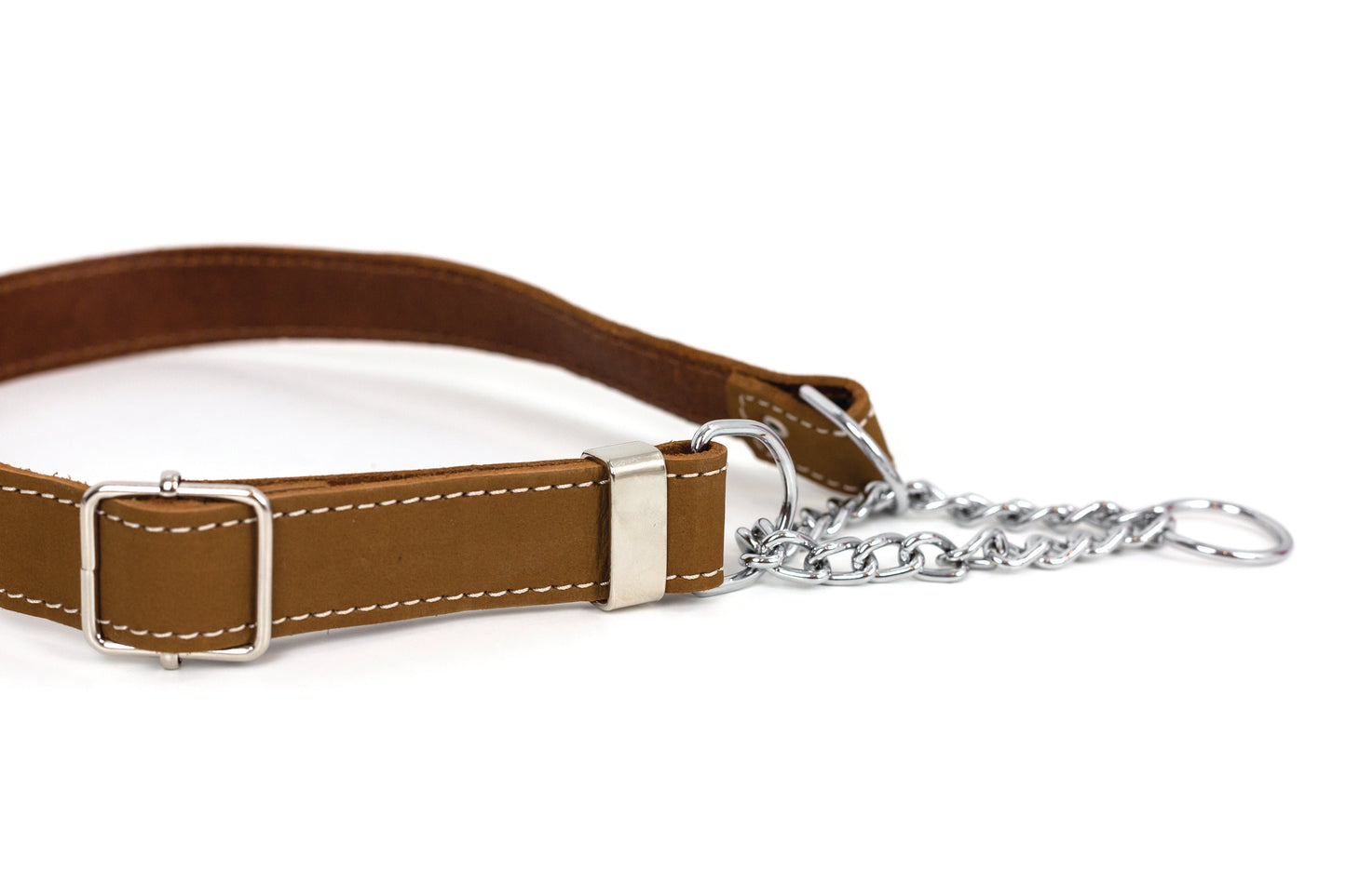 Martingale Earth Brown Leather Dog Collar on dog — dog collar close-up | Cutie Paw Co.