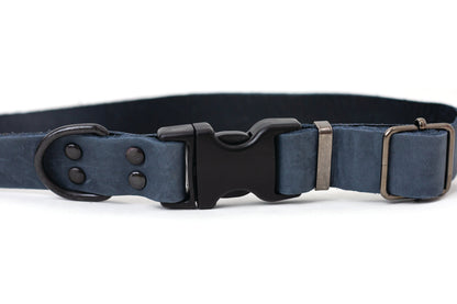 Sport Style Blue Jeans Leather Dog Collar on dog — dog collar close-up | Cutie Paw Co.