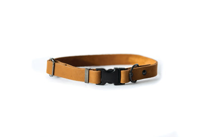 Sport Style Earth Brown Leather Dog Collar | Cutie Paw Co.
