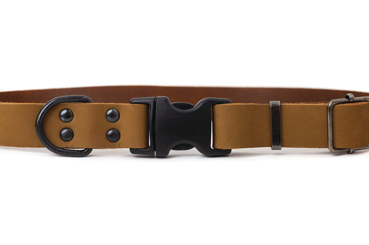 Sport Style Earth Brown Leather Dog Collar on dog — dog collar close-up | Cutie Paw Co.
