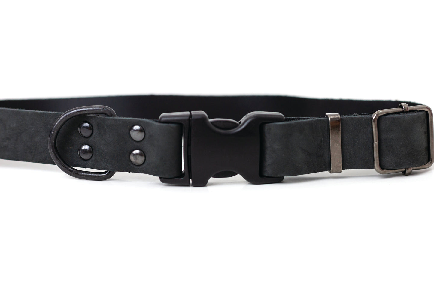 Sport Style Midnight Black Leather Dog Collar on dog — dog collar close-up | Cutie Paw Co.