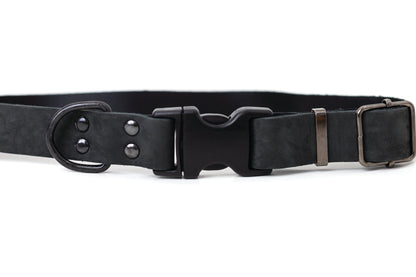 Sport Style Midnight Black Leather Dog Collar on dog — dog collar close-up | Cutie Paw Co.