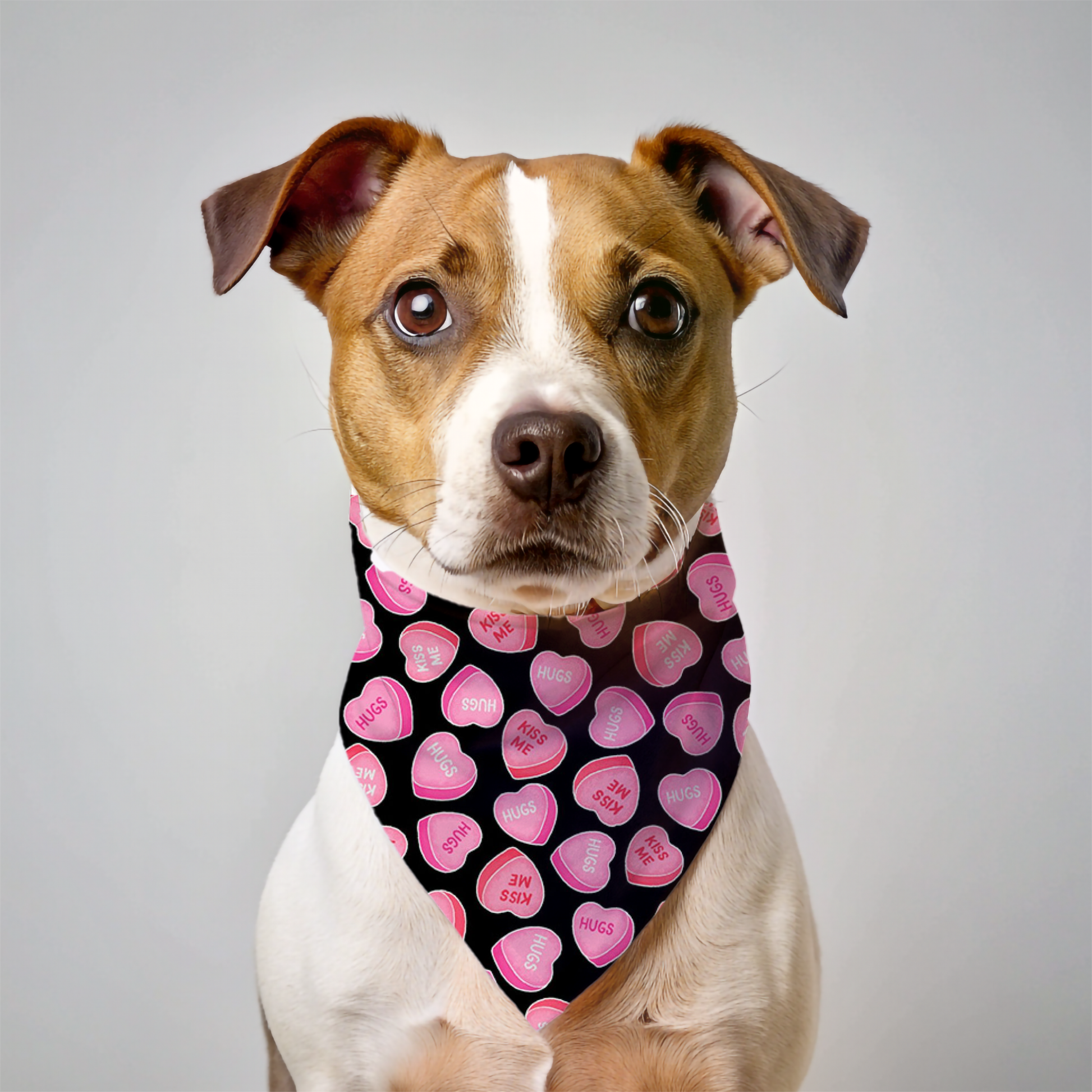 Valentines Day Dog Bandana on dog — dog bandana close-up | Cutie Paw Co.