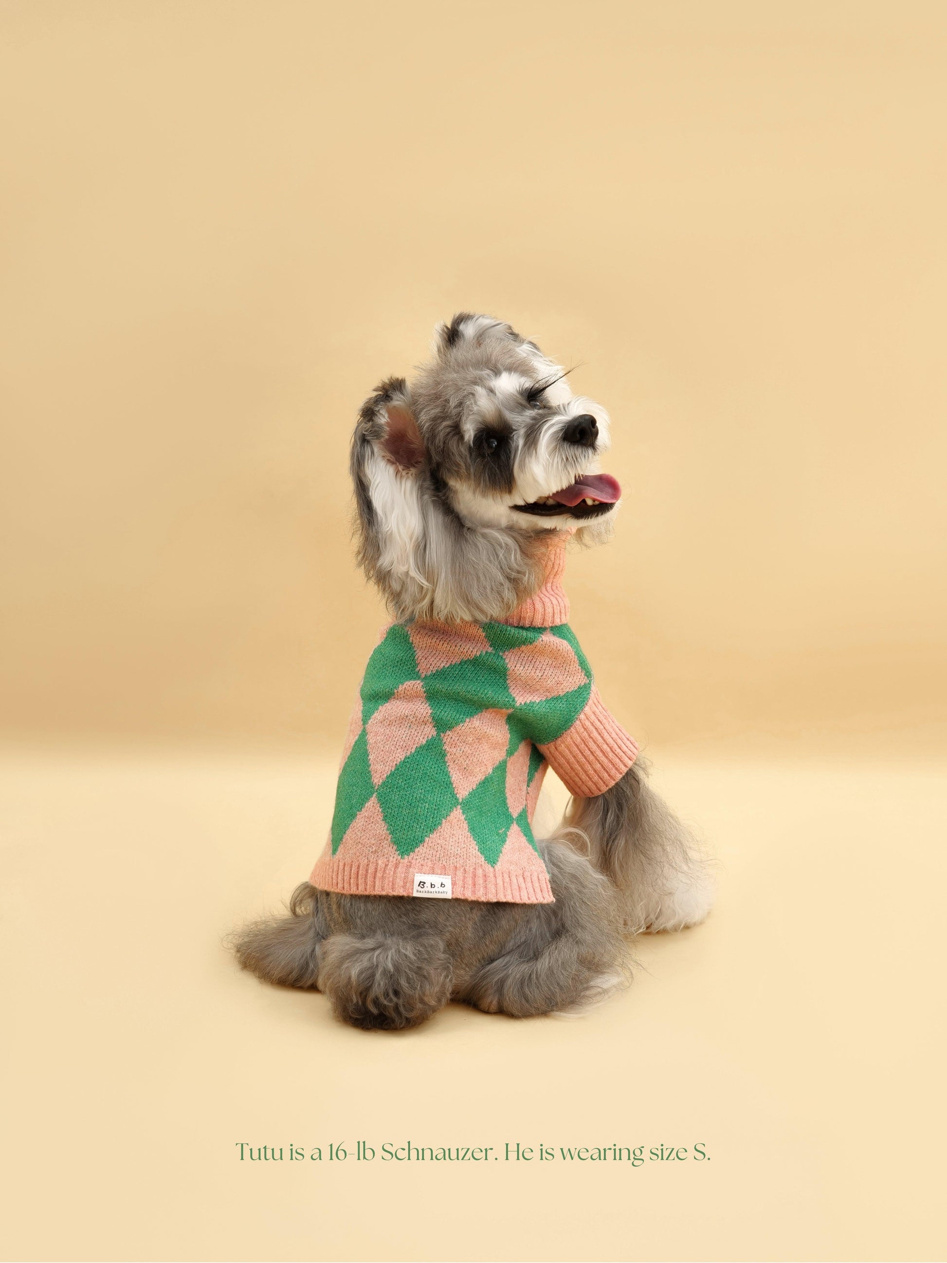 Sunday Brunch in Brooklyn Sweater detail view | Cutie Paw Co.