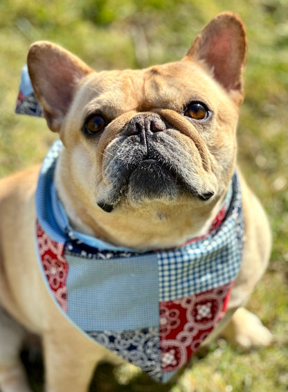 Patchwork Dog Bandana on dog — dog bandana close-up | Cutie Paw Co.