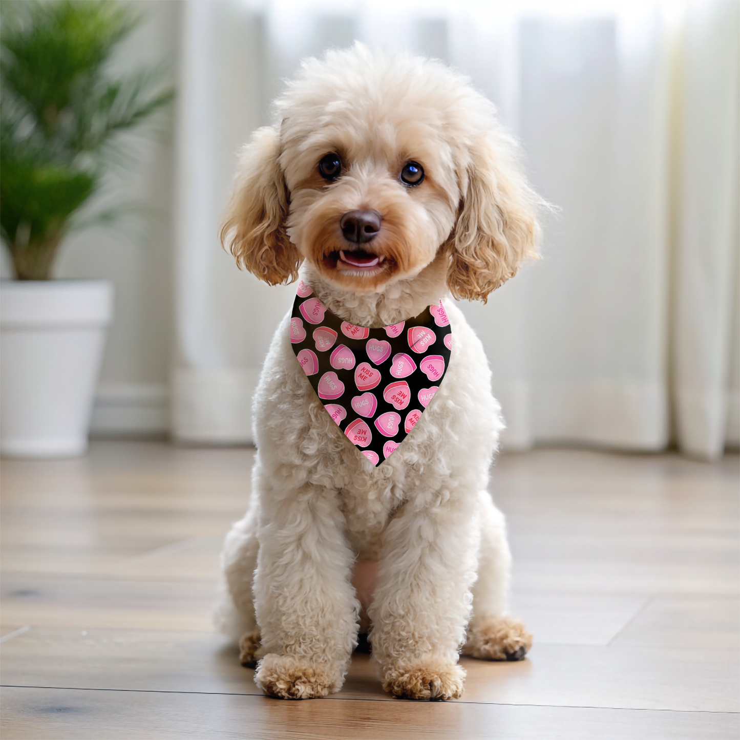 Valentines Day Dog Bandana detail view | Cutie Paw Co.