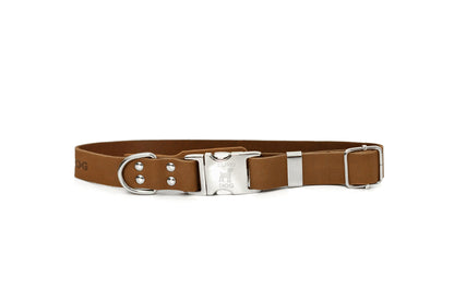 Modern Style Quick | Cutie Paw Co.
