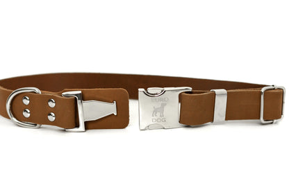 Modern Style Quick on dog — dog collar close-up | Cutie Paw Co.