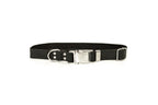 Modern Style Quick-Release Midnight Black Leather Dog Collar