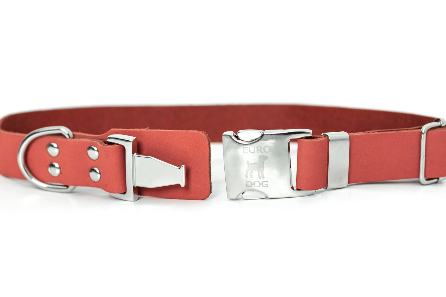 Modern Style Quick on dog — dog collar close-up | Cutie Paw Co.