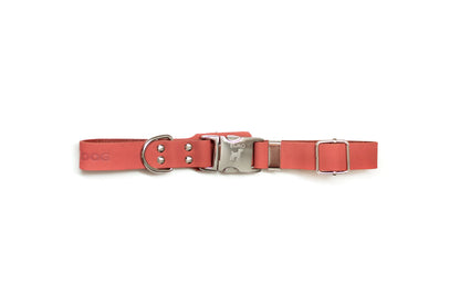 Modern Style Quick detail view | Cutie Paw Co.