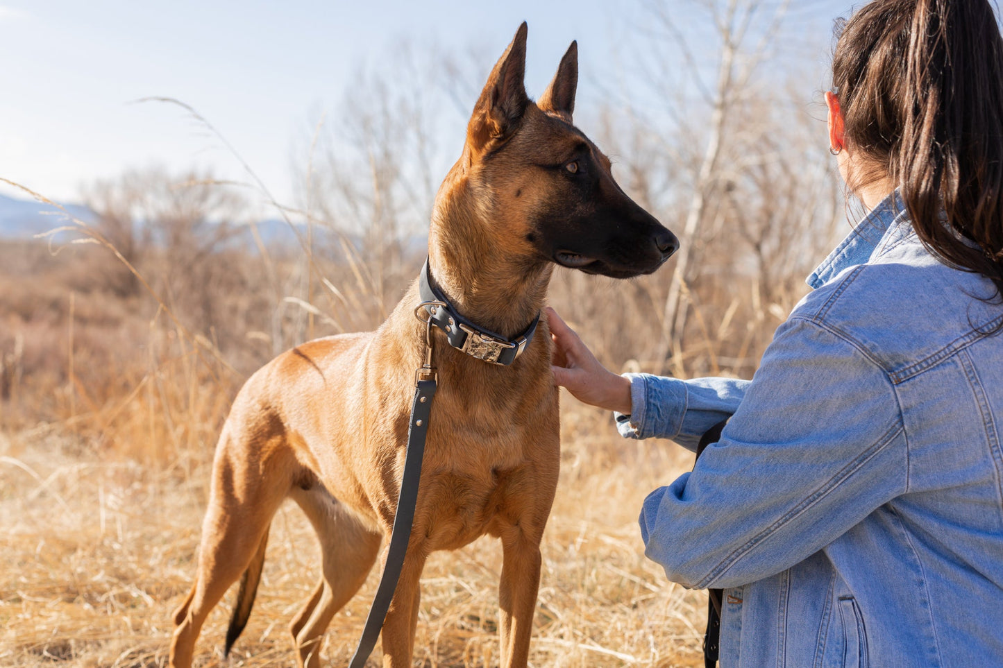 Blue Jeans Leather Dog Collar — Quick Release