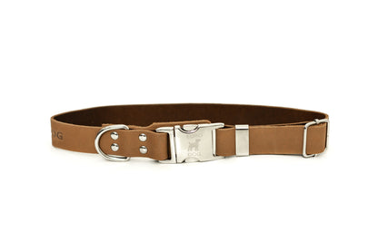 Modern Style Quick | Cutie Paw Co.