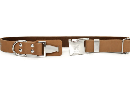 Modern Style Quick on dog — dog collar close-up | Cutie Paw Co.