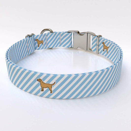 Southern Dawg Seersucker Blue Dog Collar | Cutie Paw Co.