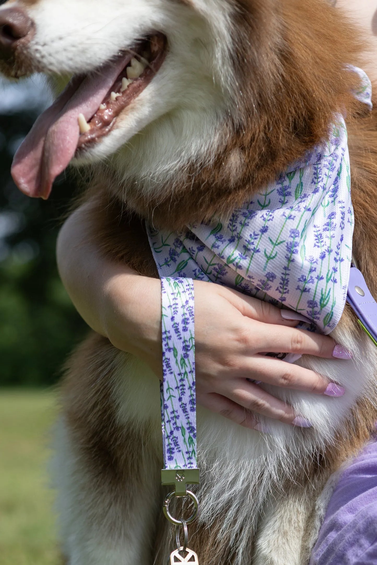 Lavender Blooms Dog Bandana & Matching Keychain on dog — dog bandana close-up | Cutie Paw Co.