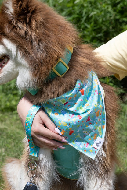 Seaside Sips Dog Bandana & Matching Keychain on dog — dog bandana close-up | Cutie Paw Co.