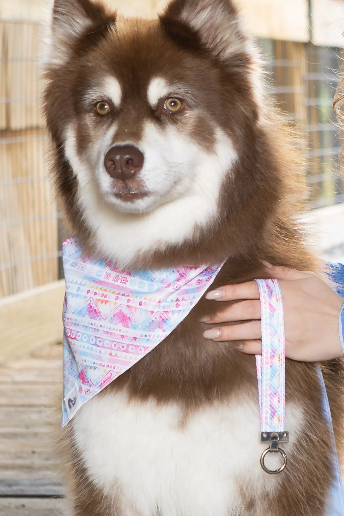 Pink and Blue Tribal Dog Bandana & Matching Keychain on dog — dog bandana close-up | Cutie Paw Co.