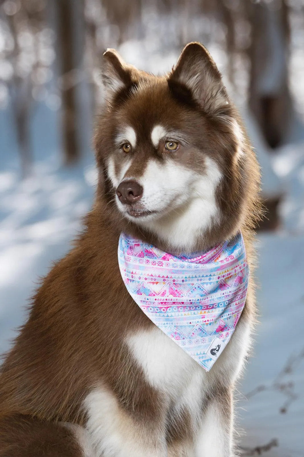 Pink and Blue Tribal Dog Bandana & Matching Keychain detail view | Cutie Paw Co.