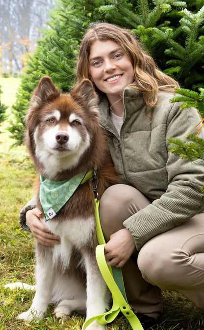 Mossy Pine Waterproof Dog Collar detail view | Cutie Paw Co.