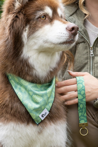 Pine Cone Pup Bandana & Matching Keychain | Cutie Paw Co.