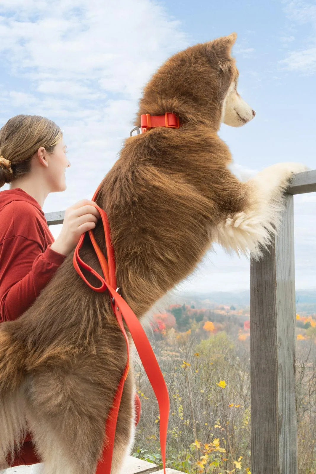 Scarlet Peaks Waterproof Dog Collar detail view | Cutie Paw Co.