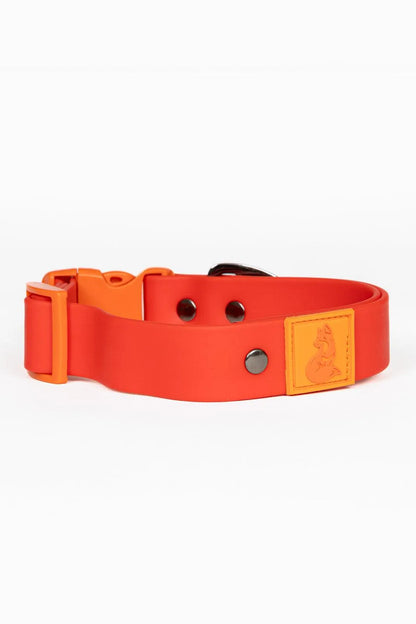 Scarlet Peaks Waterproof Dog Collar detail view | Cutie Paw Co.