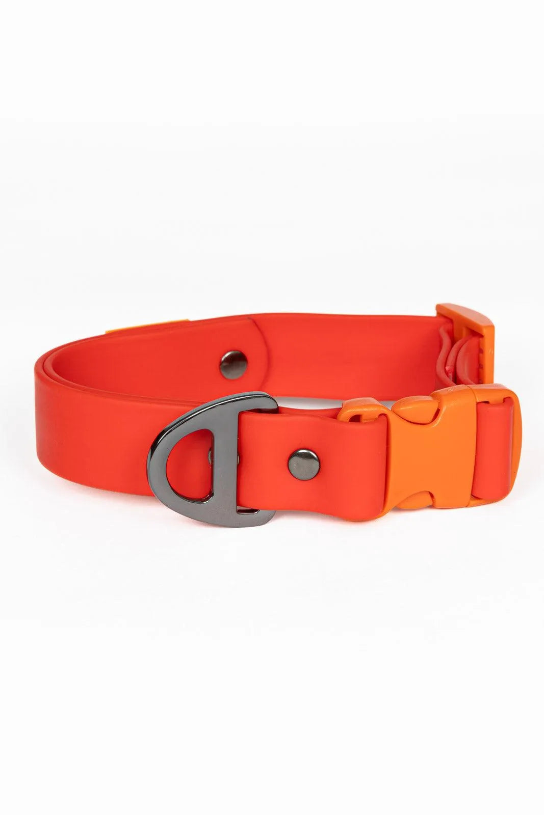 Scarlet Peaks Waterproof Dog Collar | Cutie Paw Co.