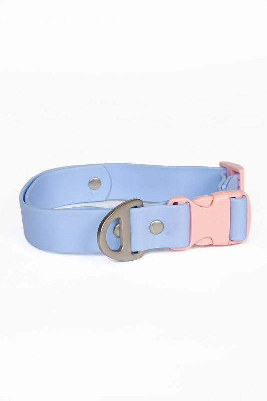 Blue Sky Orchid Waterproof Dog Collar | Cutie Paw Co.