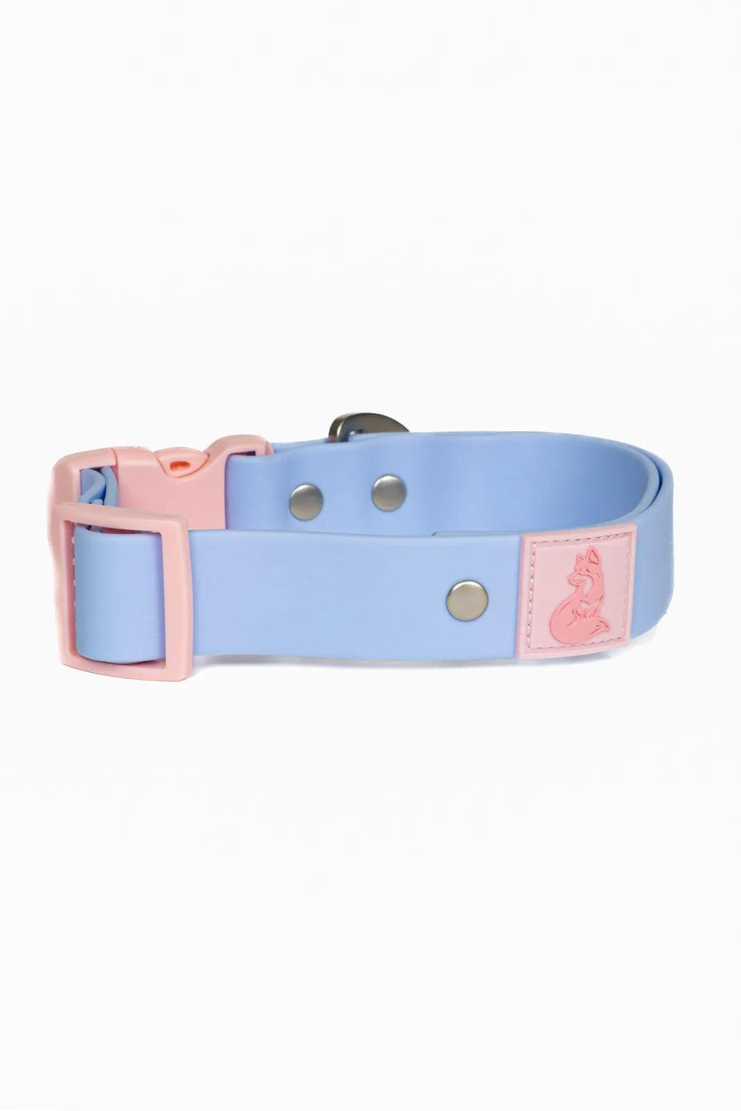 Blue Sky Orchid Waterproof Dog Collar on dog — dog collar close-up | Cutie Paw Co.