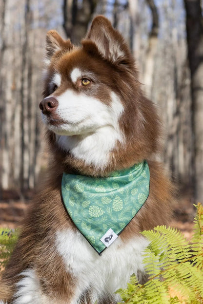 Pine Cone Pup Bandana & Matching Keychain on dog — dog bandana close-up | Cutie Paw Co.