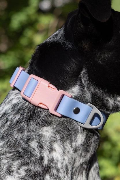 Blue Sky Orchid Waterproof Dog Collar detail view | Cutie Paw Co.