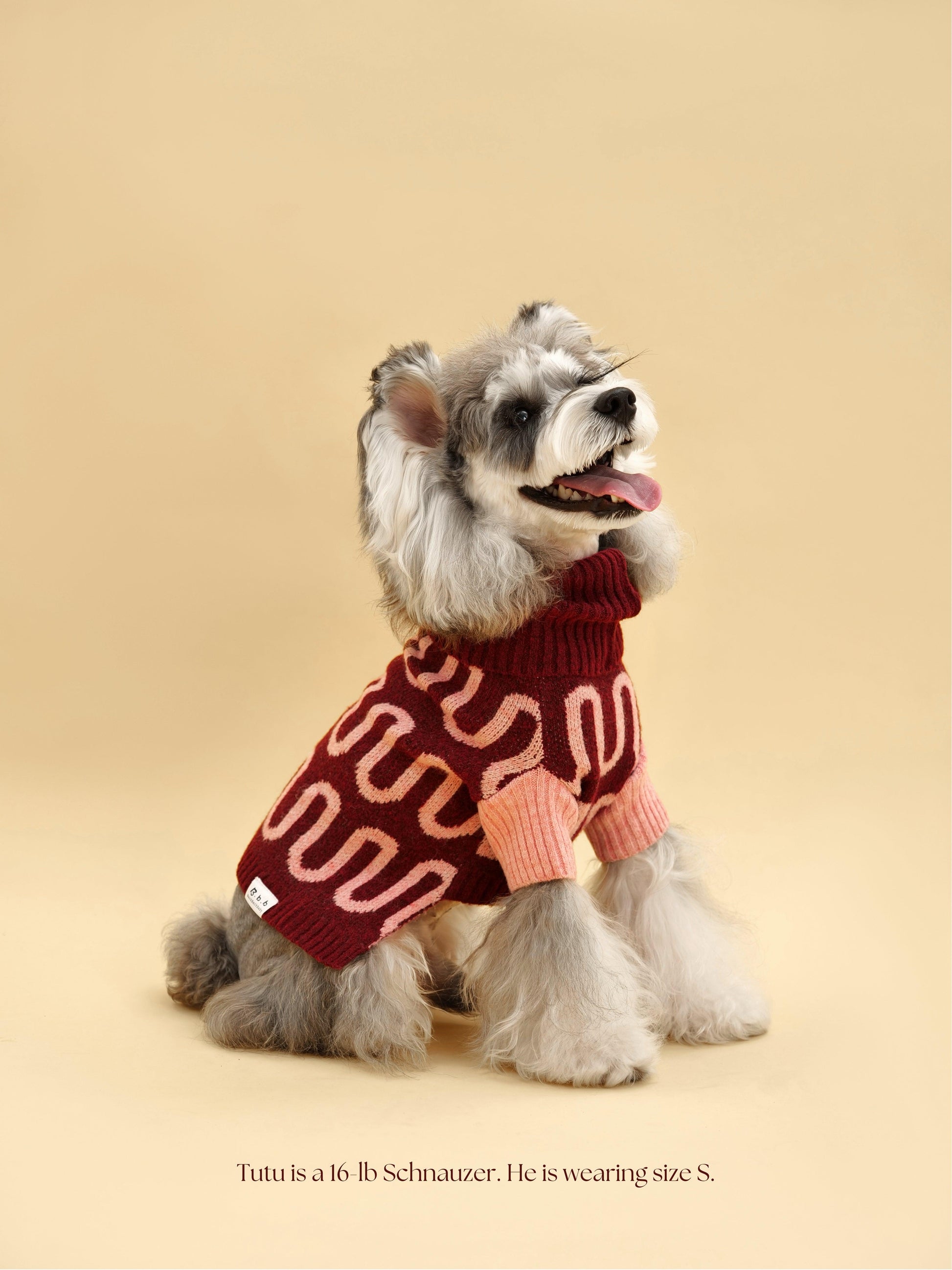 Rosé Bliss Sweater detail view | Cutie Paw Co.
