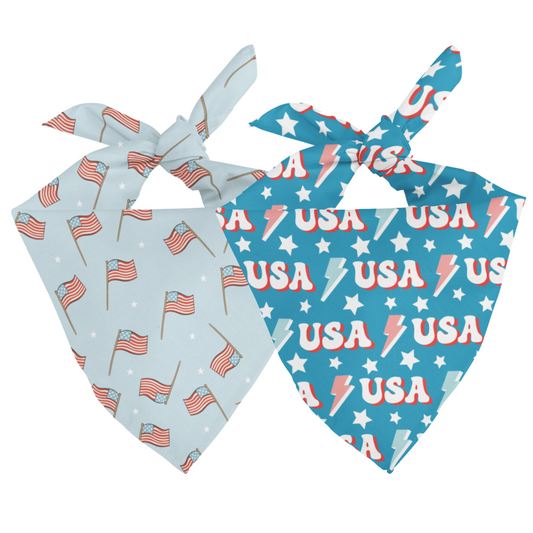 USA Dog Bandana