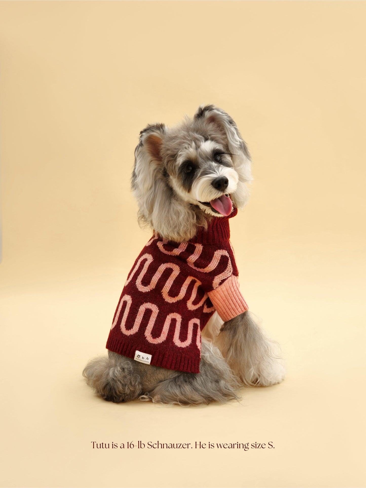 Rosé Bliss Sweater on dog — pet accessory close-up | Cutie Paw Co.