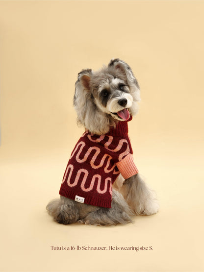 Rosé Bliss Sweater on dog — pet accessory close-up | Cutie Paw Co.