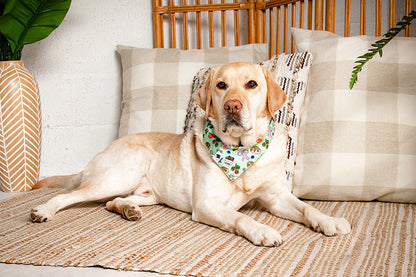 Farmers Market Dog Bandana
