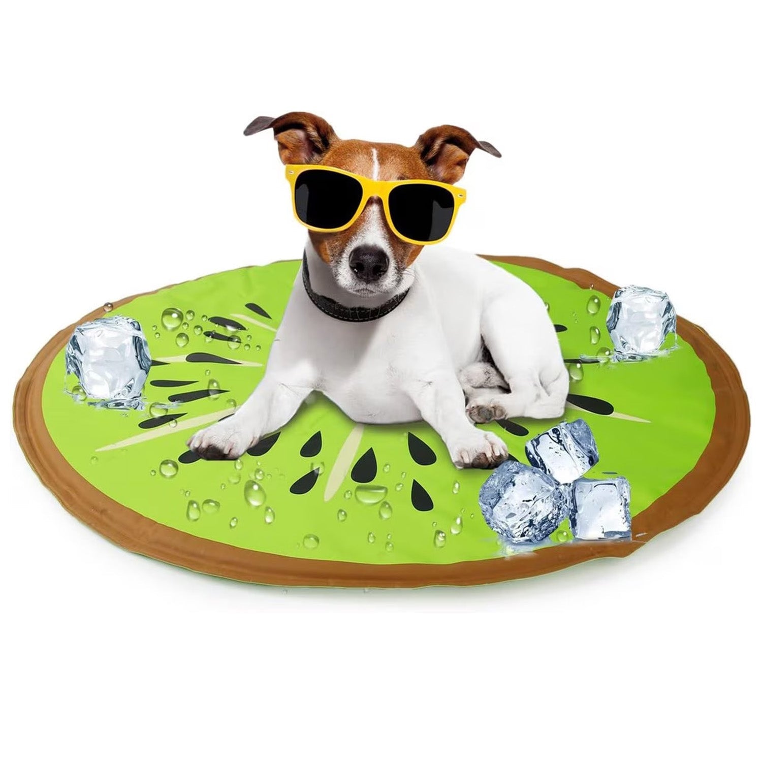 Chill Out | Cutie Paw Co.
