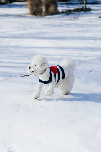 Sailor of My Heart Striped Turtleneck Sweater