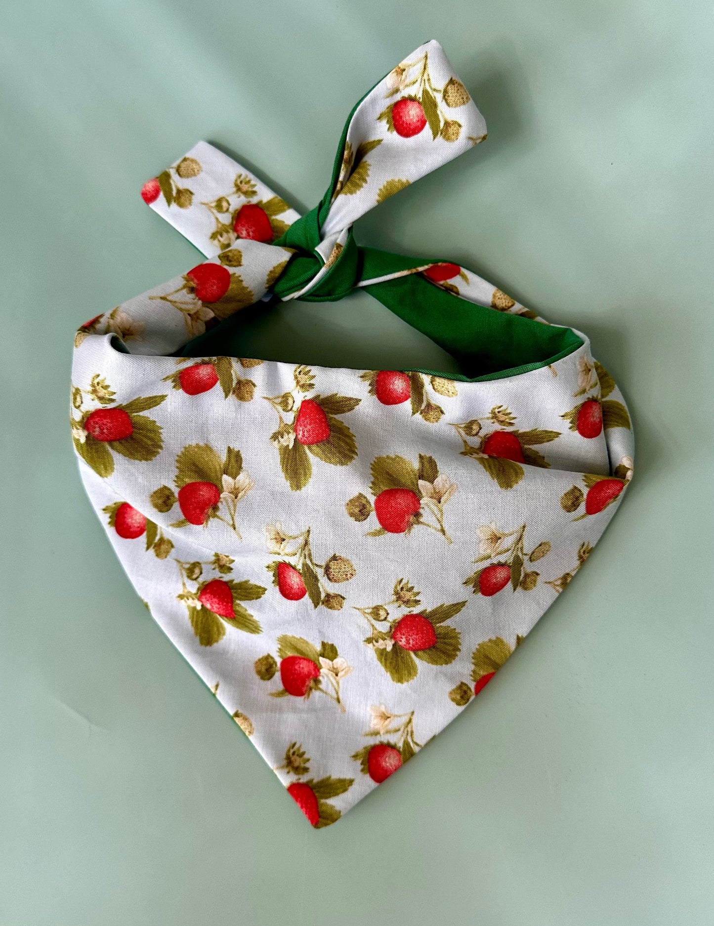 Strawberry Dog Bandana | Cutie Paw Co.