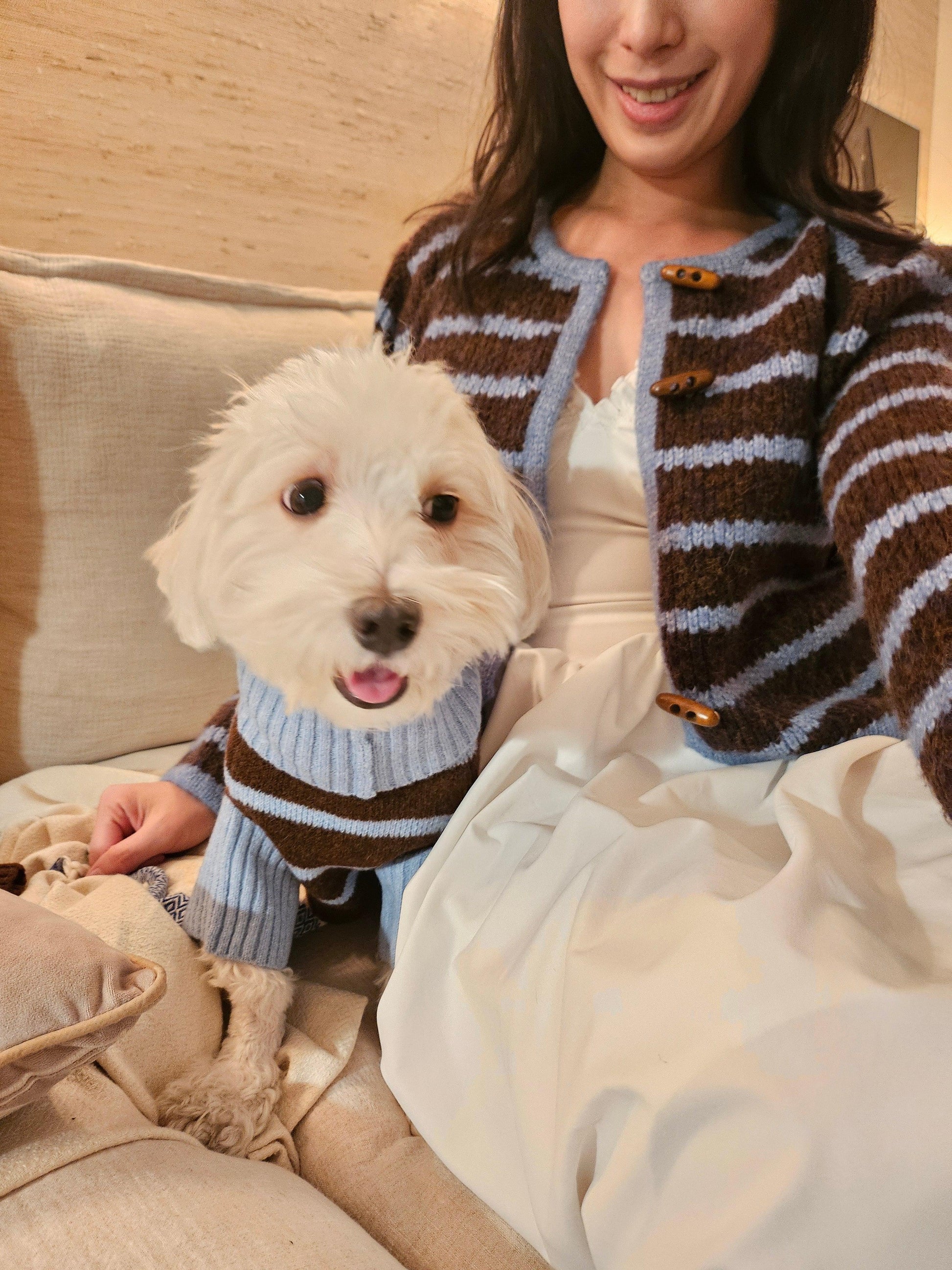 Bluebell Stripes Crop Cardigan on dog — pet accessory close-up | Cutie Paw Co.