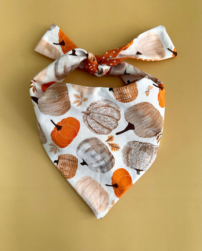 Pumpkin Dog Bandana